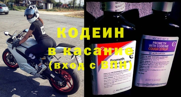сатива Белокуриха