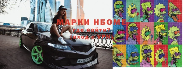 сатива Беломорск