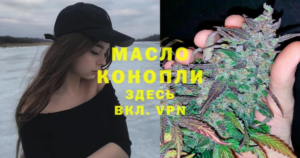 сатива Беломорск