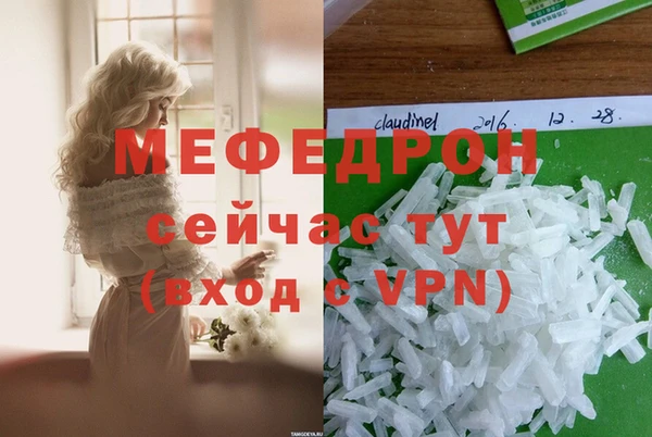 сатива Беломорск