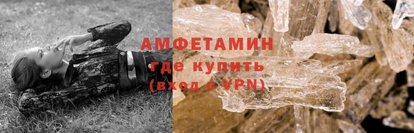 сатива Белокуриха