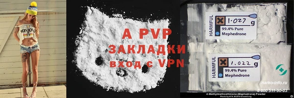 сатива Белокуриха