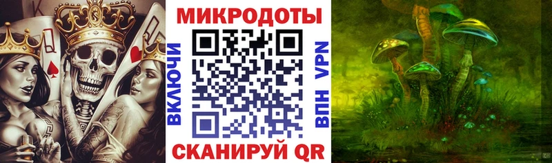Купить закладки  Северск  Псилоцибиновые грибы Psilocybe 